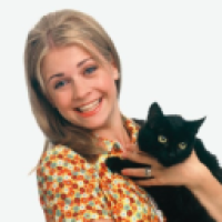 user's avatar