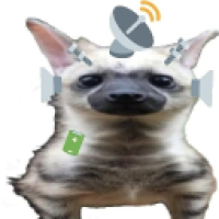 user's avatar