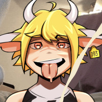 user's avatar