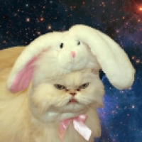 user's avatar
