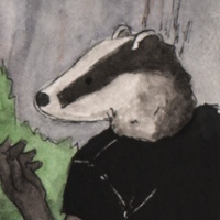 user's avatar