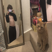 user's avatar
