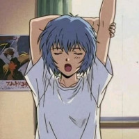 user's avatar