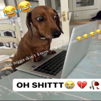 user's avatar