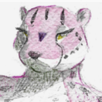 user's avatar