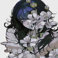 user's avatar