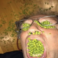 user's avatar