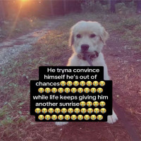user's avatar