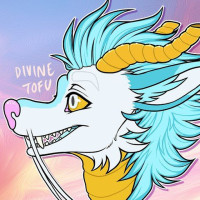 user's avatar