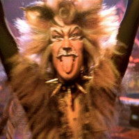 user's avatar