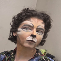 user's avatar