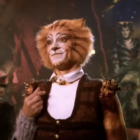 user's avatar