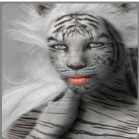 user's avatar