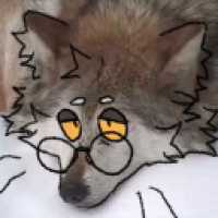 user's avatar