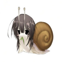 user's avatar