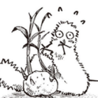 user's avatar