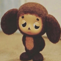 user's avatar