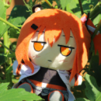 user's avatar