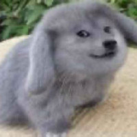 user's avatar