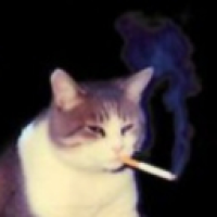 user's avatar