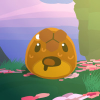 user's avatar