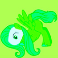 user's avatar
