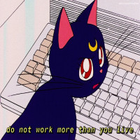 user's avatar