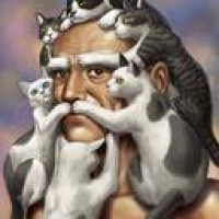 user's avatar