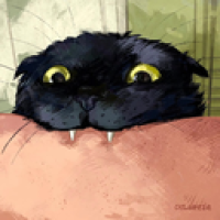 user's avatar