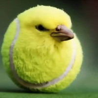 user's avatar