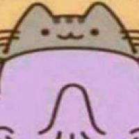 user's avatar
