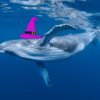 user's avatar