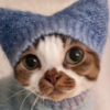user's avatar