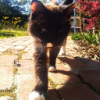 user's avatar