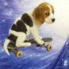 user's avatar
