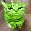 user's avatar