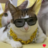 user's avatar