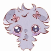 user's avatar