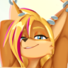 user's avatar