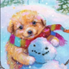 user's avatar