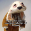 user's avatar