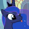 user's avatar