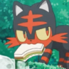 user's avatar