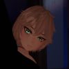 user's avatar