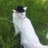 user's avatar