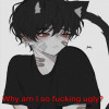 user's avatar