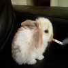 user's avatar