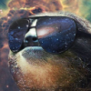 user's avatar