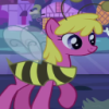 user's avatar