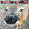 user's avatar